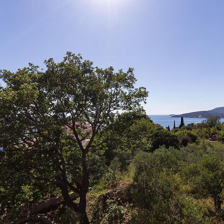 Villa Dubravka Mlini Rom bilde