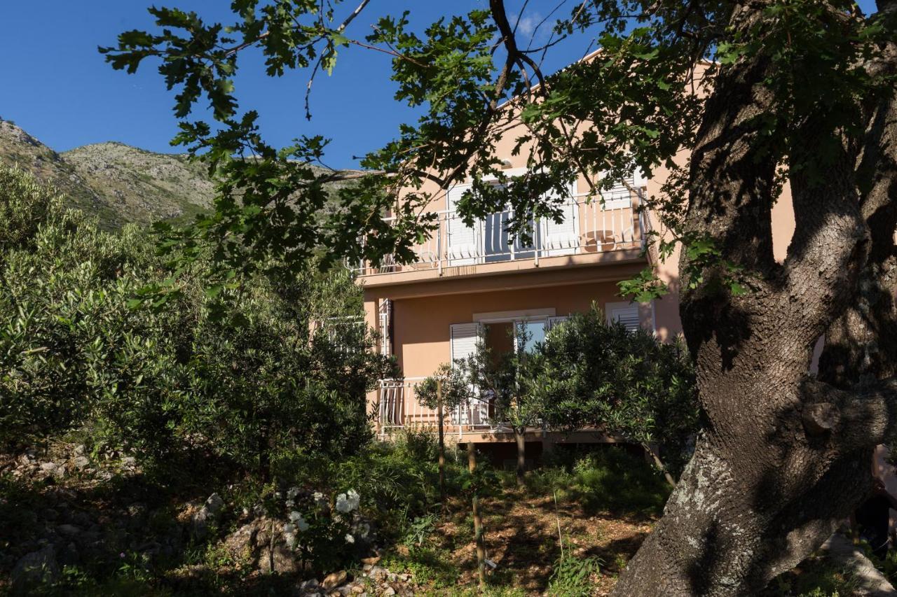 Villa Dubravka Mlini Eksteriør bilde