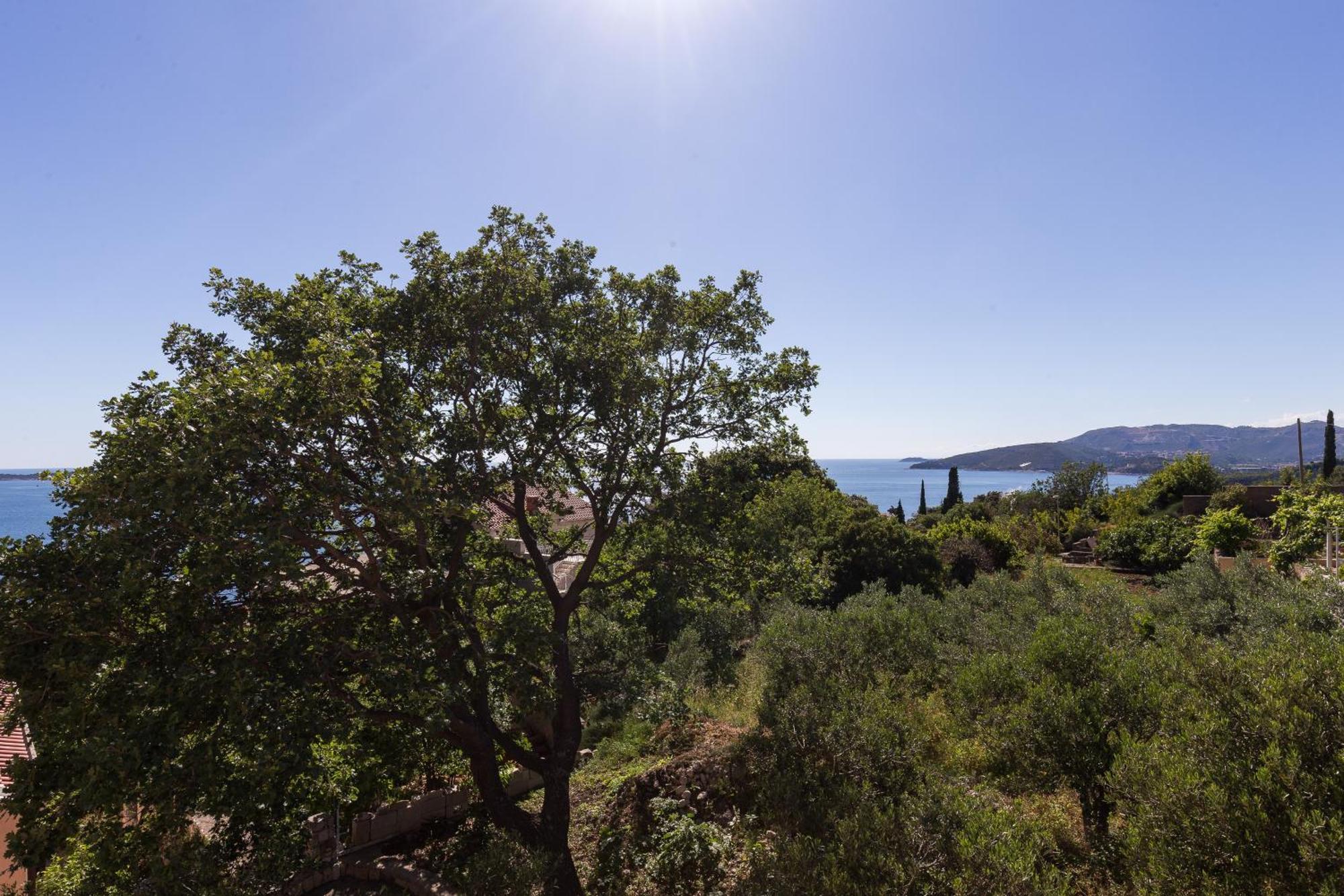 Villa Dubravka Mlini Rom bilde